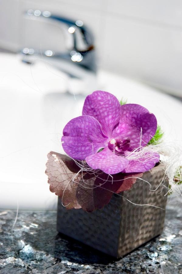 Hotel Hotel-Restaurant Dimmer 4*